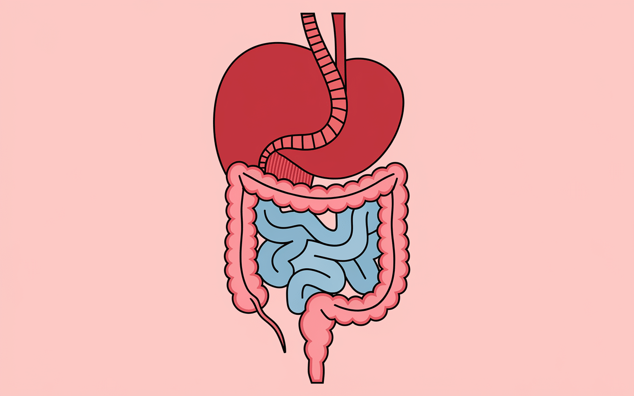 diagramme douleur psoas et intestin compression intestinale