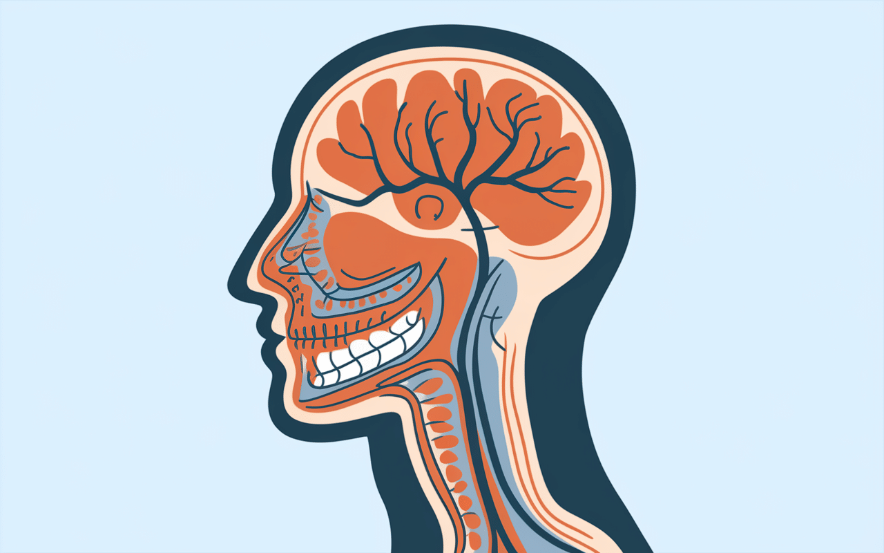ganglions derriere oreilles anatomie lymphatique tete