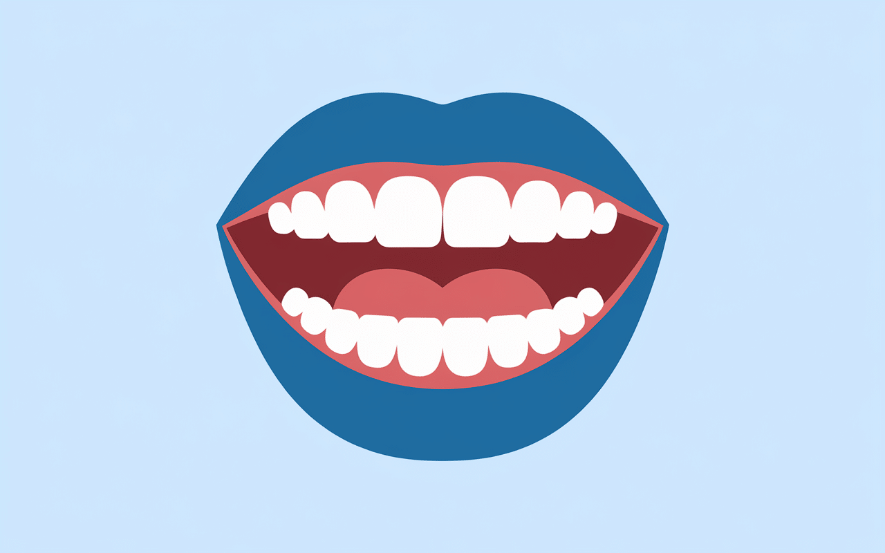 schéma incisive dent position bouche