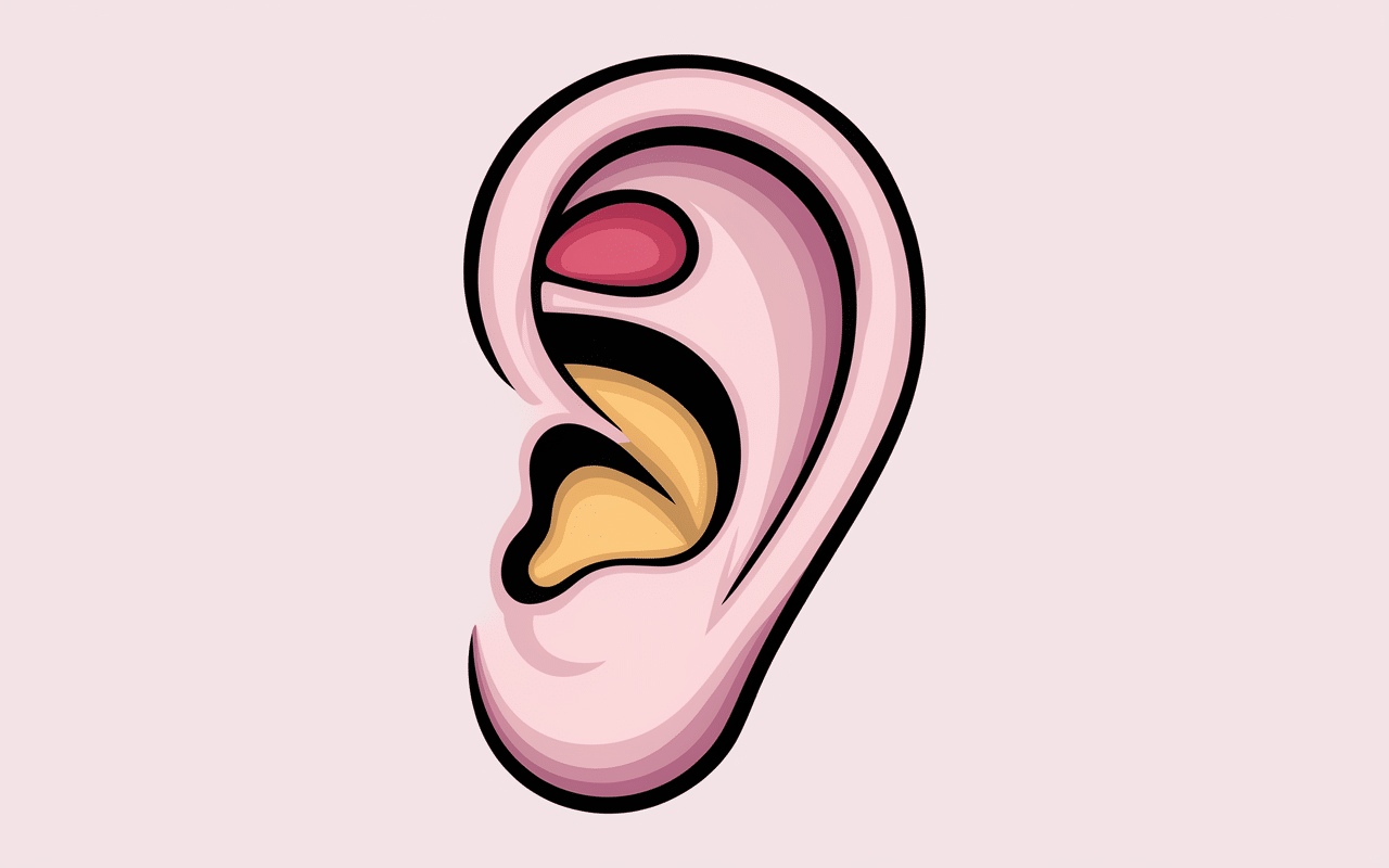 Schéma anti tragus emplacement oreille